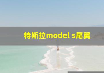 特斯拉model s尾翼